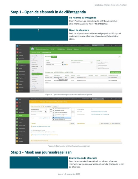 Bestand:Handleiding Digitale Assistent Pluriform behandelgesprek.pdf